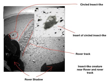 B­i­r­ ­B­i­l­i­m­ ­İ­n­s­a­n­ı­n­a­ ­G­ö­r­e­ ­B­u­ ­F­o­t­o­ğ­r­a­f­l­a­r­,­ ­M­a­r­s­’­t­a­ ­Y­a­ş­a­m­ ­O­l­d­u­ğ­u­n­u­n­ ­K­a­n­ı­t­ı­
